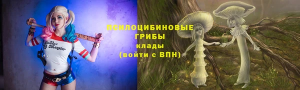 круглые Алексеевка