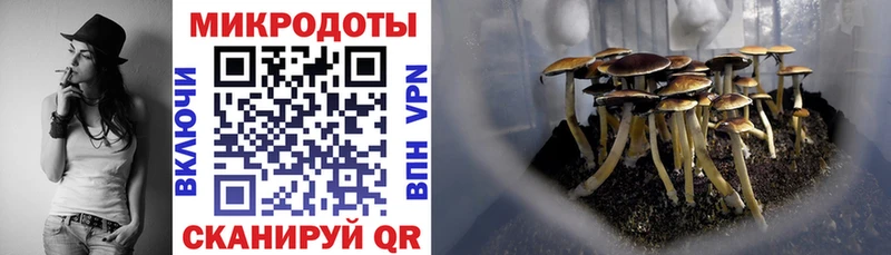 Галлюциногенные грибы Cubensis  Щёлково 